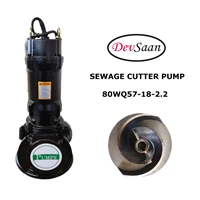 Sewage Cutter Pump 80WQ57-18-2.2 - 3