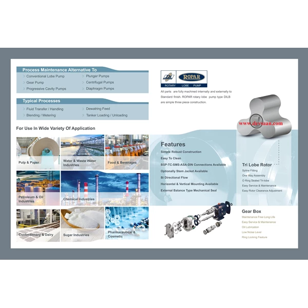 Rotary Lobe Pump DILB-150S Pompa Rotari Lobe - 1.5" x 1.5" - 120 Lpm 7 Bar