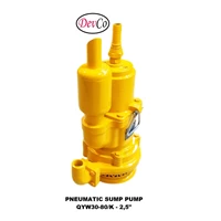 Pneumatic Sump Pump QYW30-80/K - 2.5