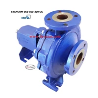 Centrifugal Pump End Suction KSB Etanorm ETN 065-050-200 GG - 2 5 x 2