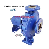 Centrifugal Pump End Suction KSB Etanorm ETN 065-050-250 GG - 2.5
