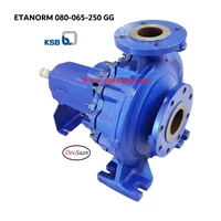 Centrifugal Pump End Suction KSB Etanorm ETN 080-065-250 GG - 3