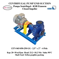 Centrifugal Pump End Suction KSB Etanorm ETN 065-050-250 GG (Complete Set) 4pole