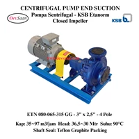Centrifugal Pump End Suction KSB Etanorm ETN 080-065-315 GG (Complete Set) 4pole