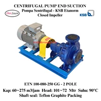 Centrifugal Pump End Suction KSB Etanorm ETN 100-080-250 GG (Complete Set) 2pole