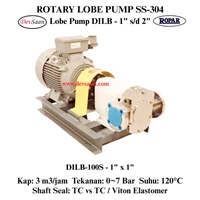 Rotary Lobe Pump DILB-100S Pompa Rotari Lobe (Complete Set) 