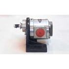 Gear Pump SS316 CGSS-125 (GP) - 1.25