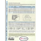 Gear Pump SS316 CGSS-200 (GP) - 2" GP 5