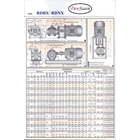 High Pressure RDNX 250L Rotary Gear Pump - 2.5" GP 6