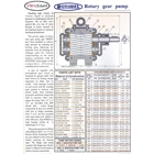 High Pressure RDNX 300L Rotary Gear Pump - 3" GP 5