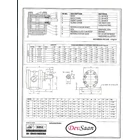 Gear Pump Helikal DW-II 150 - 1.5" GP 6