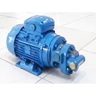 Gear Pump HGCX-050 - 1/2" 1