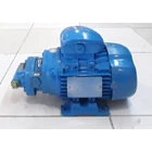 Gear Pump HGCX-050 - 1/2" 2