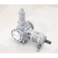 Gear Pump Internal TGGP 58-80 - 3