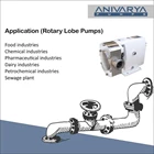 Rotary Lobe Pump ALB-100L - 1" x 1" - 80 Lpm 7 Bar 8