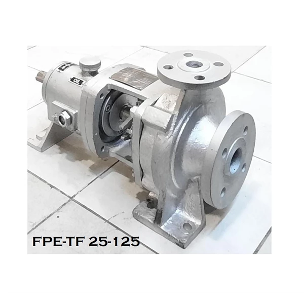 Thermic Fluid FPE-TF 25-125 Hot Oil Centrifugal Pump - 1.5" x 1" - 2900 Rpm