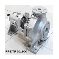 Thermic Fluid FPE-TF 32-200 Hot Oil Centrifugal Pump - 2