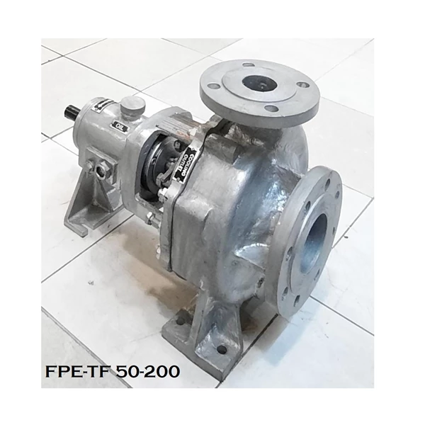 Thermic Fluid FPE-TF 50-200 Hot Oil Centrifugal Pump - 3" x 2" - 2900 / 1450 Rpm
