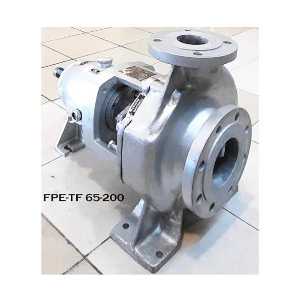 Pompa Sentrifugal Thermic Fluid Pump FPE-TF 65-200 4" x 2.5" - 2900 / 1450 Rpm