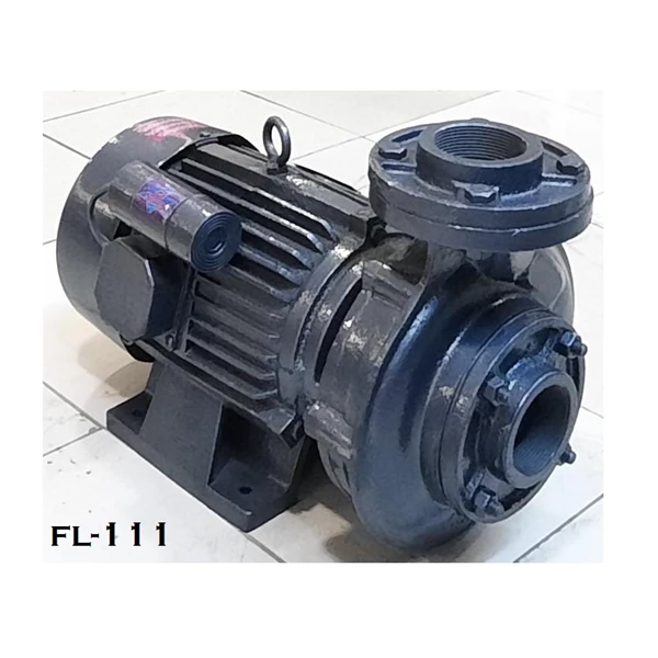 Centrifugal Monoblock Water Pump FL-111 Pompa Air - 2" x 2" - 2 Hp 220V 1 Fase