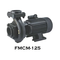 Centrifugal Monoblock Water Pump FMCM-125 - 1